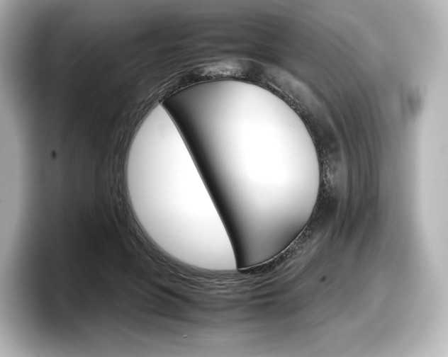X0000098190551200804241053