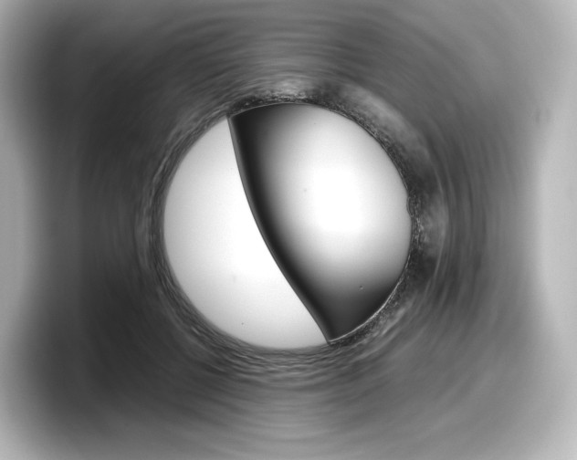 X0000098190552200804241053