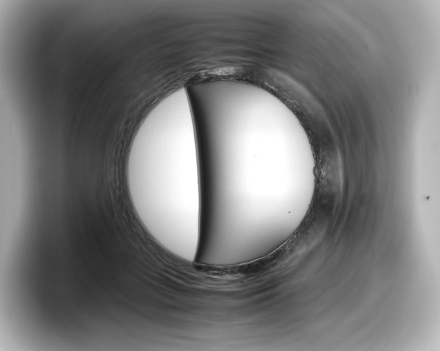 X0000098190555200804241053