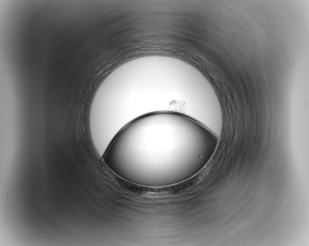 X0000098190556200804241053
