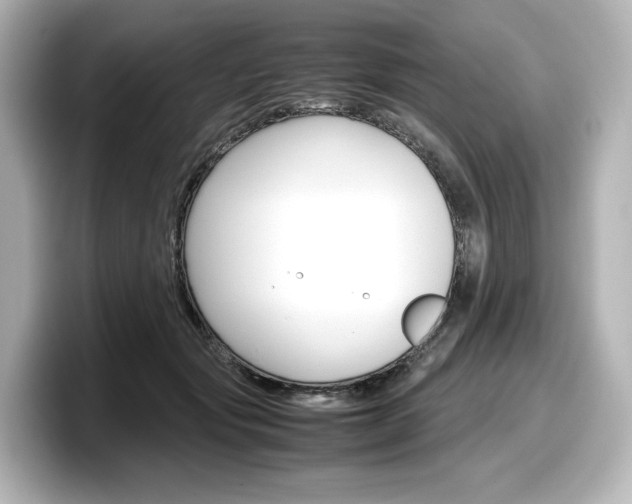 X0000098190557200804241053