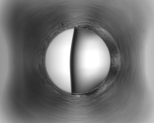 X0000098190558200804241053