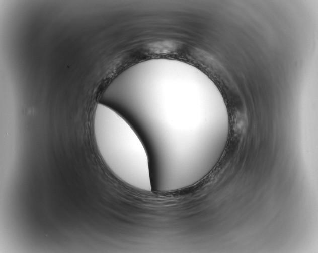 X0000098190559200804241053