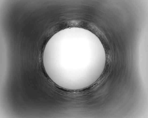 X0000098190561200804241053