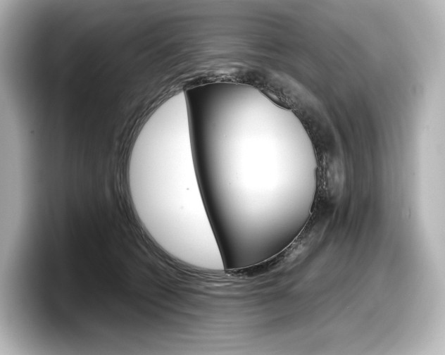 X0000098190562200804241053