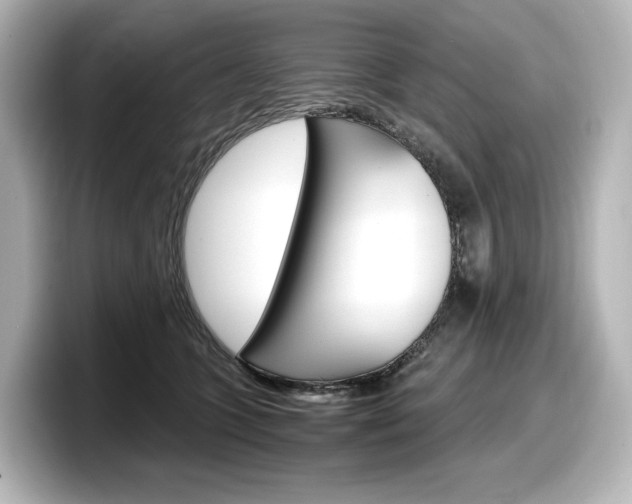 X0000098190563200804241053