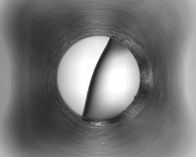 X0000098190564200804241053
