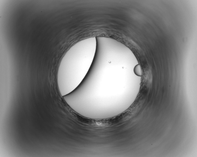 X0000098190565200804241053