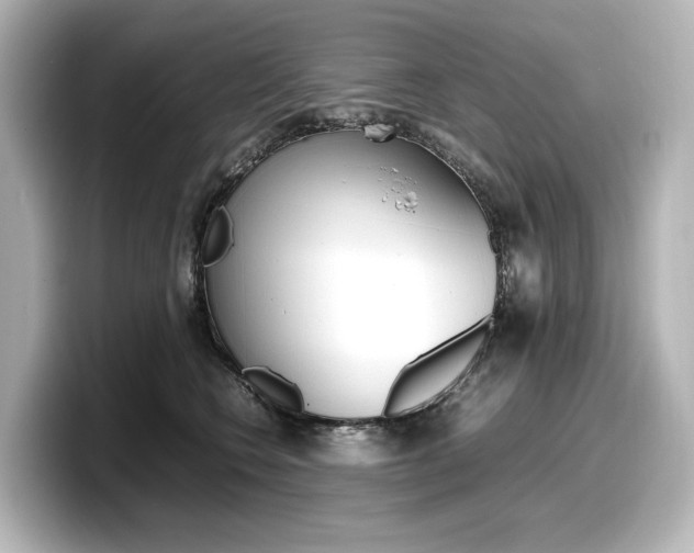 X0000098190566200804241053
