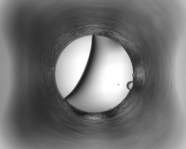 X0000098190567200804241053