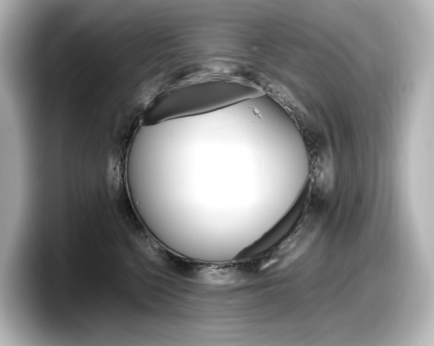 X0000098190568200804241053