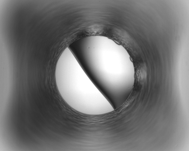 X0000098190570200804241053