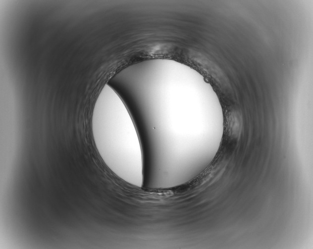 X0000098190571200804241053