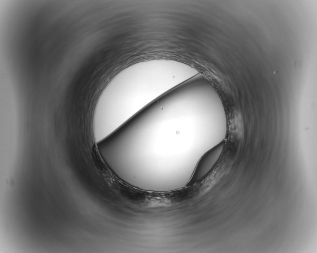 X0000098190572200804241053