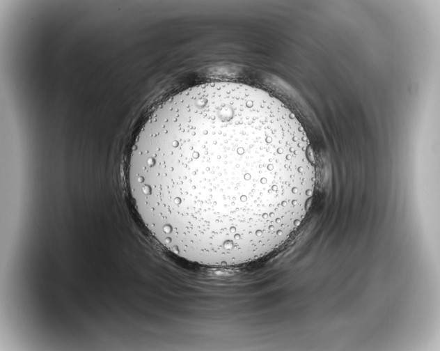 X0000098190573200804241053