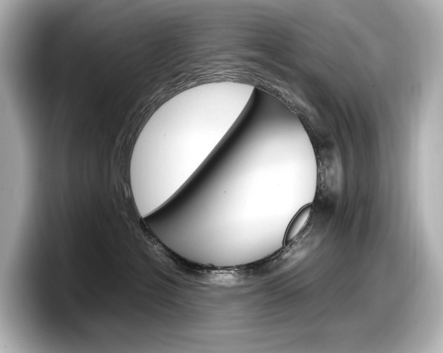 X0000098190574200804241053