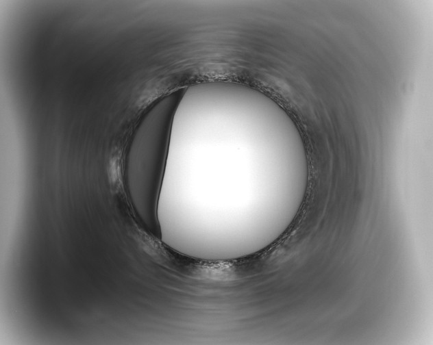 X0000098190576200804241053