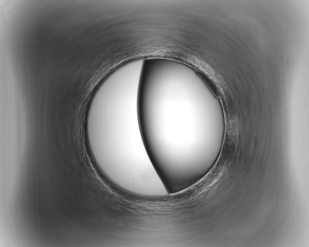 X0000098190577200804241053