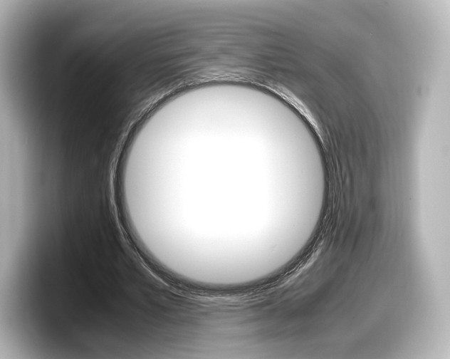 X0000098190581200804241053