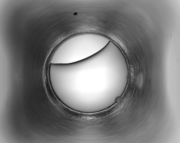X0000098190582200804241053