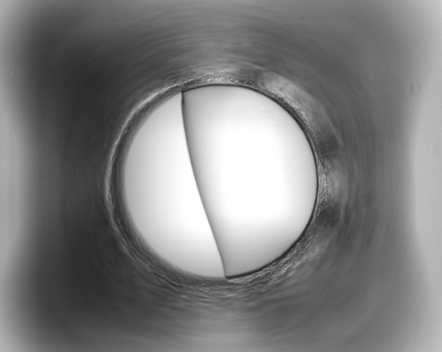 X0000098190583200804241053