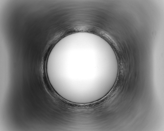 X0000098190586200804241053