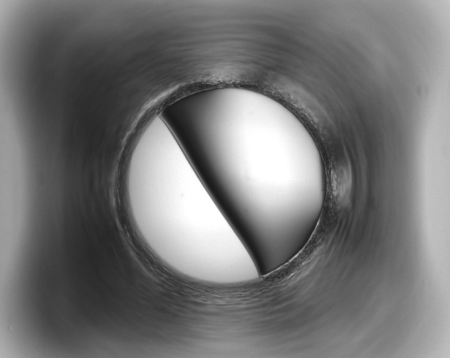 X0000098190588200804241053