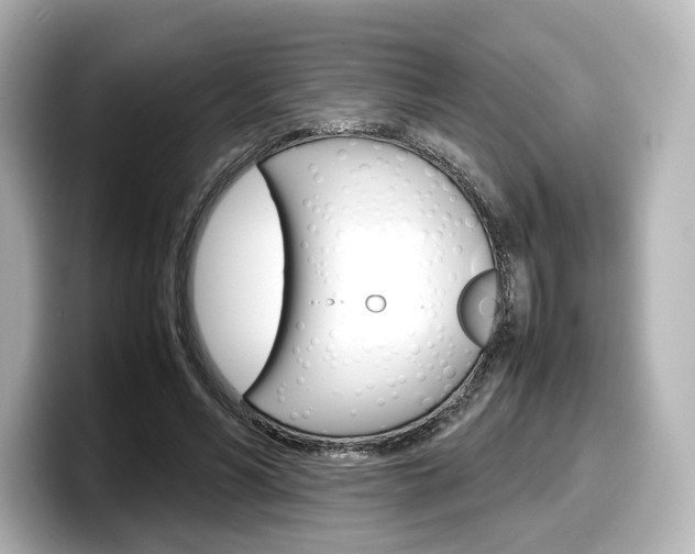 X0000098190590200804241053