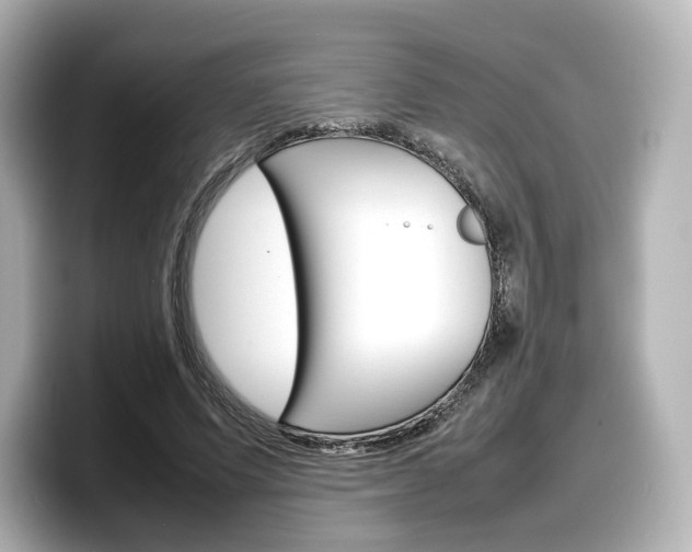 X0000098190591200804241053