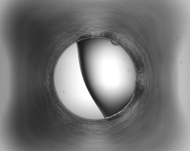 X0000098190593200804241052