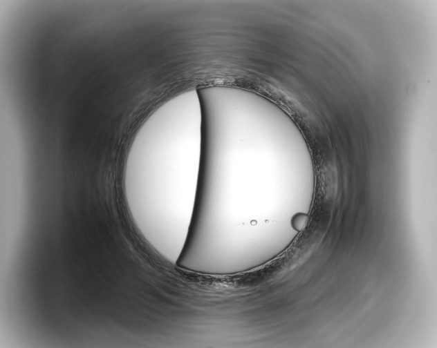 X0000098190594200804241052