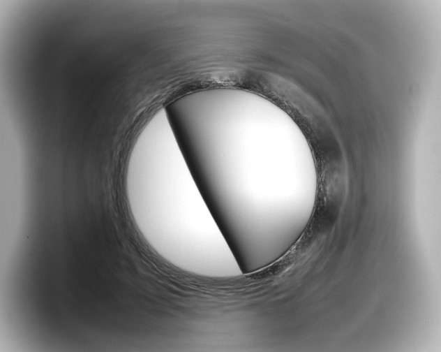 X0000098190595200804241052
