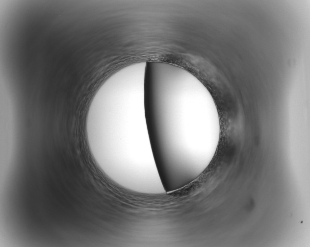 X0000098190599200804241052