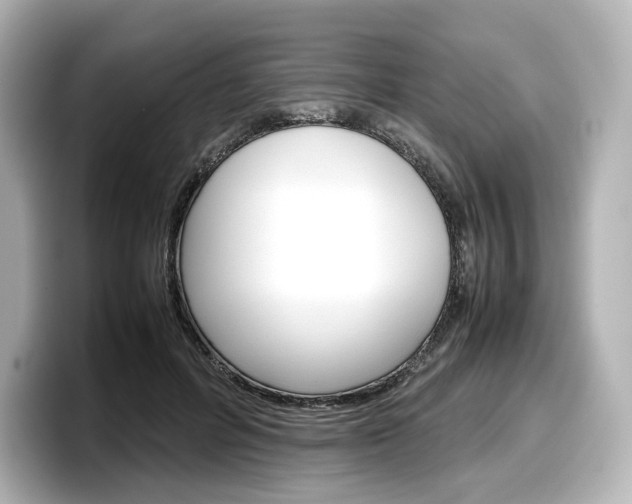 X0000098190600200804241052