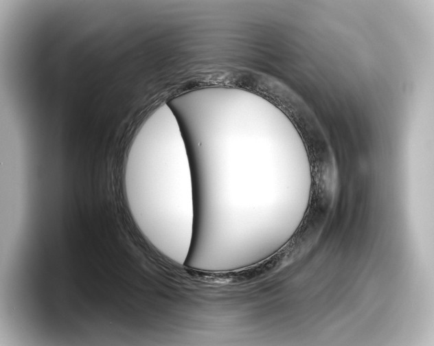X0000098190602200804241052