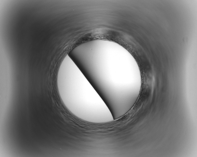 X0000098190603200804241052