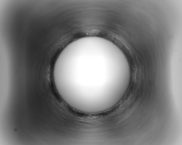 X0000098190604200804241052