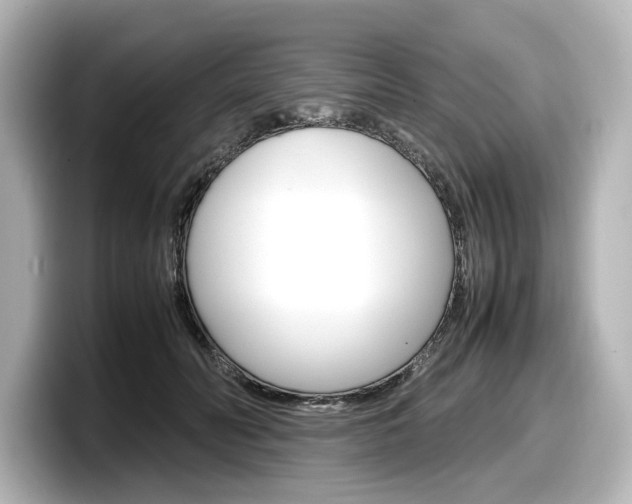X0000098190606200804241052