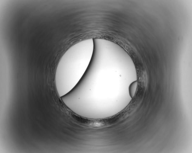 X0000098190610200804241052