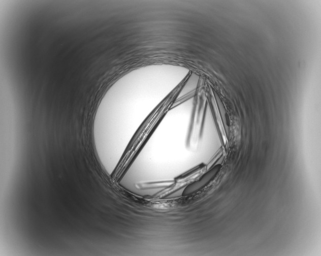 X0000098190611200804241052