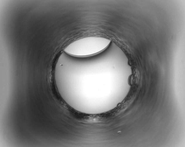 X0000098190612200804241052