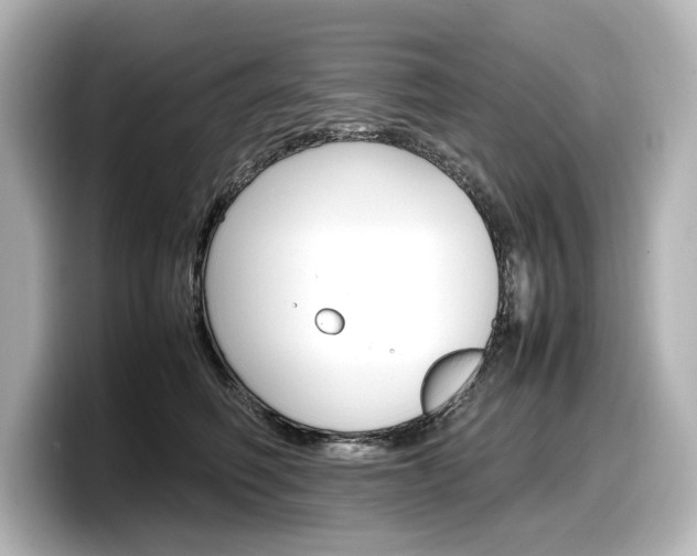 X0000098190614200804241052