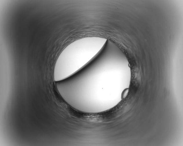 X0000098190615200804241052