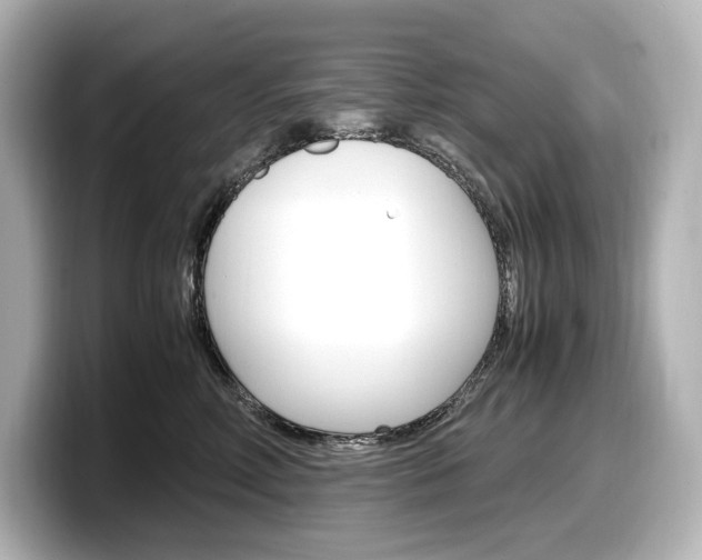X0000098190618200804241052