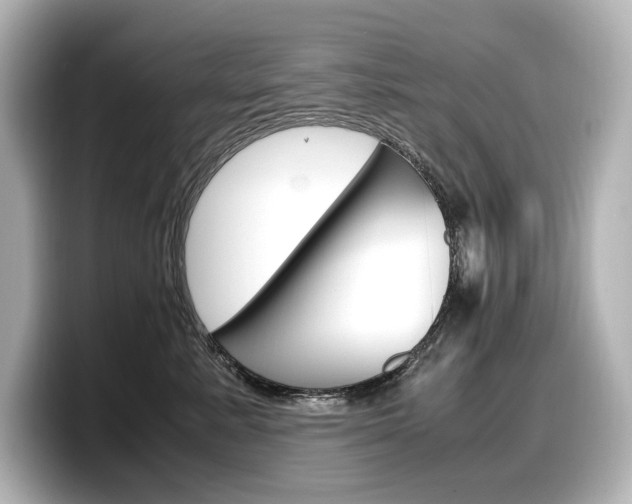 X0000098190619200804241052