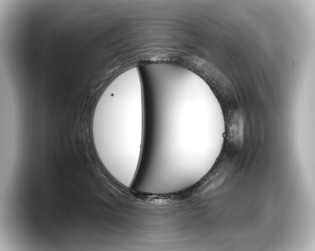 X0000098190620200804241052