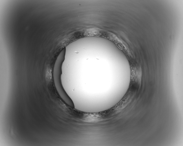 X0000098190621200804241052