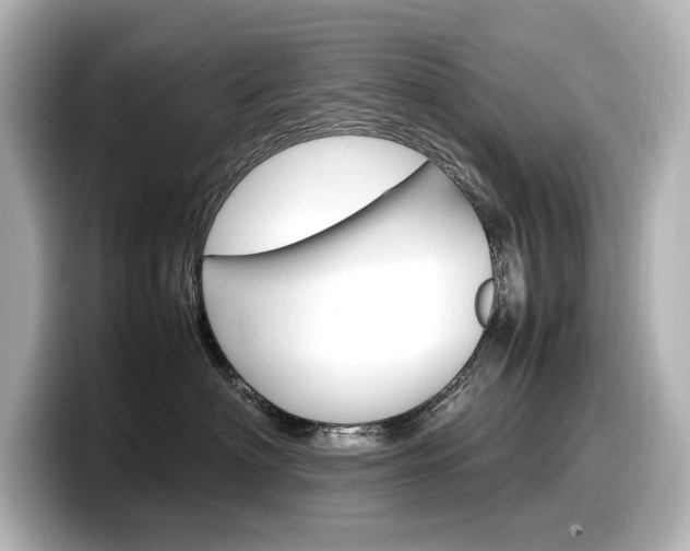 X0000098190622200804241052