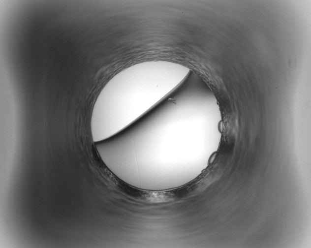 X0000098190623200804241052