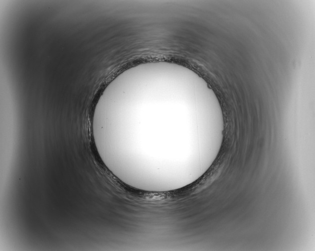 X0000098190624200804241052
